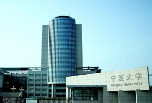 教育部认可的宁夏自治区合规大学名单，不在名单内的都是野鸡大学