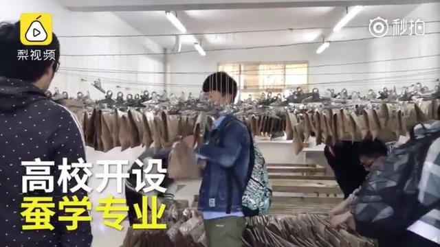 央视曝光！读一个很冷门的大学专业是什么体验？