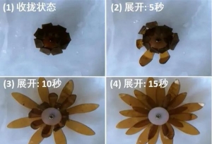 《三体》中的这项“黑科技”，被哈工大研究