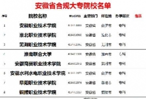 安徽省合规大专院校名单