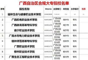 广西自治区合规大专院校名单