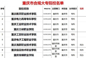重庆市合规大专院校名单