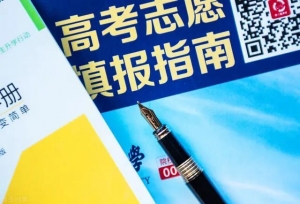 河北省有哪些好就业的大专院校啊？