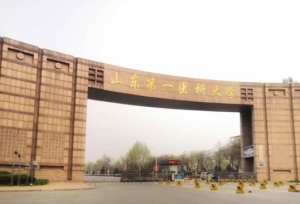 山东第一医科大学2020年专升本投档情况