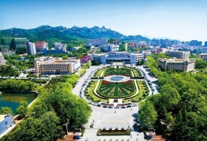 青岛大学现任领导，一把手是安徽人