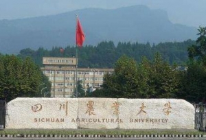 四川农业大学现任领导