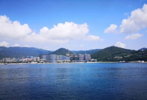 天津市本科A阶段、艺术类及体育类批次征询志愿录取最低分数线