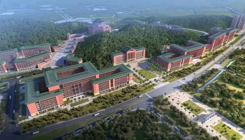 985名校解析——中山大学