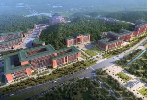 985名校解析——中山大学