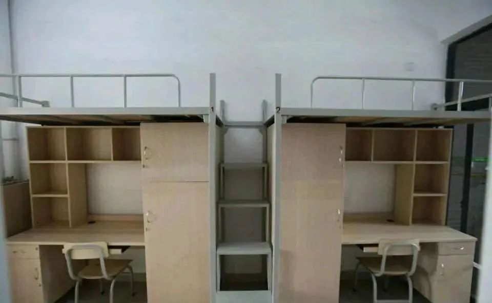985名校解析——中山大学