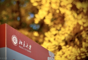 北京大学2020研究生录取数据公布，共录取93