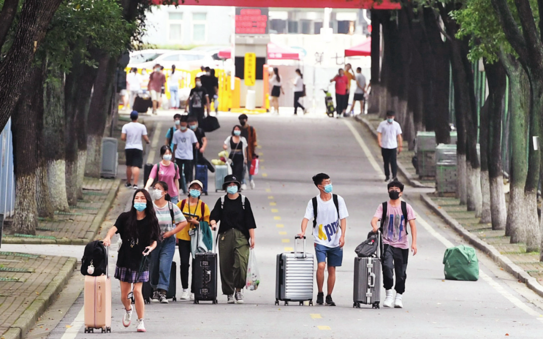 我太难了！看完这些2020 届新生直呼不容易