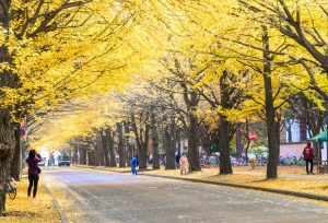 北京科技大学2020考研报录比公布，报考人数超12000人