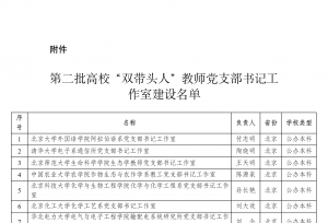 第二批高校“双带头人”教师党支部书记工作室建设名单公布