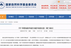 新一批查处决定公布！多名学者因科研不端行为被通报批评