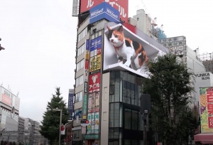 东京街头出现巨大三色猫？看来召唤二次元美少女也不远了