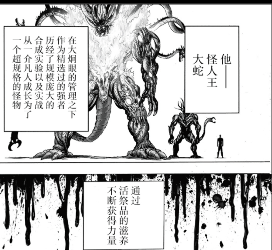 新增设定！一拳超人重制版150重画，大蛇真面目曝光