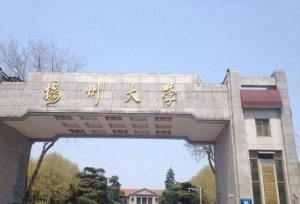 英国人评选的最新大学排行榜：南科大第一，扬州大学第六