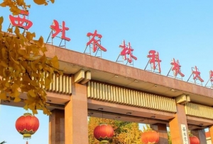 就业率“每况愈下”的985大学，排名比211大学还低，让人很担心