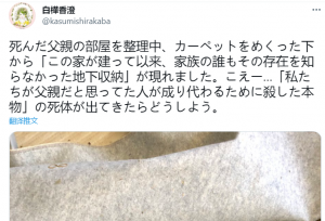 网友发现父亲遗留的密室！期待有“神展开”
