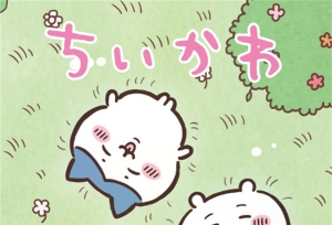 动画「Chiikawa」主视觉图公开