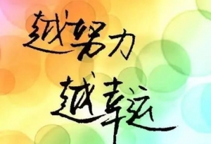 保研！华政、上经贸、上海海事这3所双非院校保研率如何？
