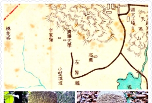 你知道吗？当年清华占据了半座岳麓山