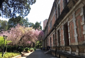 云南大学，一个兼具知识和情趣的绝佳去处！